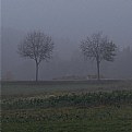 Picture Title - fog