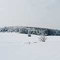 Picture Title - snowland