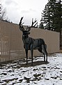 Picture Title - Metal Deer