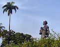 Picture Title - The statue and the palmtree