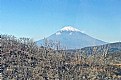 Picture Title - FUJI