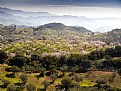 Picture Title -  Almond Fields in the mountains of Malaga