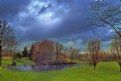 Picture Title - Walden Pond
