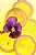 Lemon with Pansy