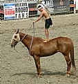 Picture Title - Horse Stand