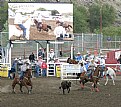 Picture Title - Calf Roping Miss