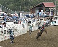 Picture Title - Bull Riding