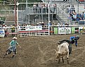 Picture Title - Bull Riding