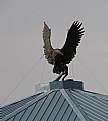 Picture Title - Eagle