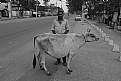 Picture Title - streets of kesinga (ii)