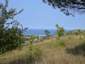 Picture Title - Looking sea from wood