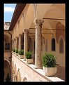 Picture Title - Arches and Plants