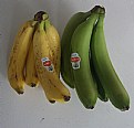 Picture Title - BANANA