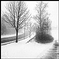 Picture Title - **Crossing Winter**