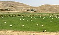 Picture Title - HAY FIELD