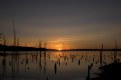Picture Title - A New Day