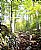 Fusine1