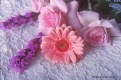 Picture Title - Bouquet on Lace