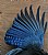 BLUEJAY WING