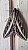 WHITE LINED MOTH