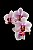 Phalaenopsis MS Sweety Cat