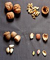 Picture Title - NUTS
