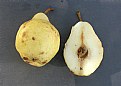 Picture Title - PEAR