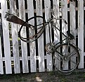 Picture Title - BICYCLE ON A FENCE