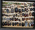 Picture Title - WORLD BEETLES