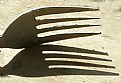 Picture Title - FORK SHADOW