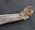 Picture Title - SNAKE SKIN HEAD