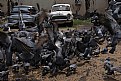 Picture Title - chaos (pidgeons)