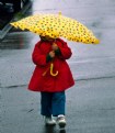 Picture Title - Yellow Umbrella