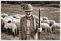 Picture Title - The Shepherd