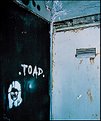 Picture Title - Street Art :: The Lady of Toad