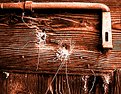 Picture Title - Webs on a barn door