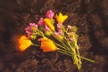 Picture Title - Wild Bouquet