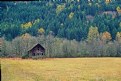 Picture Title - Shack in Field