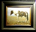 Picture Title - HORSE ART
