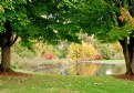 Picture Title - Civic Center Pond