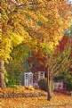 Picture Title - Fall Yard vertical