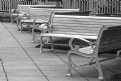 Picture Title - Benches