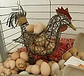 Picture Title - METAL CHICKEN