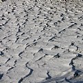 Picture Title - SNOW WAVES
