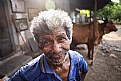 Picture Title - the cowshed worker
