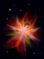 Picture Title - Firefly