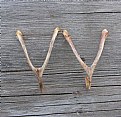 Picture Title - WISHBONE