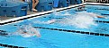 Picture Title - SWIM BEGINS
