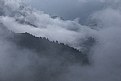 Picture Title - a misty day