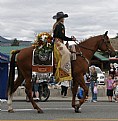 Picture Title - HORSE